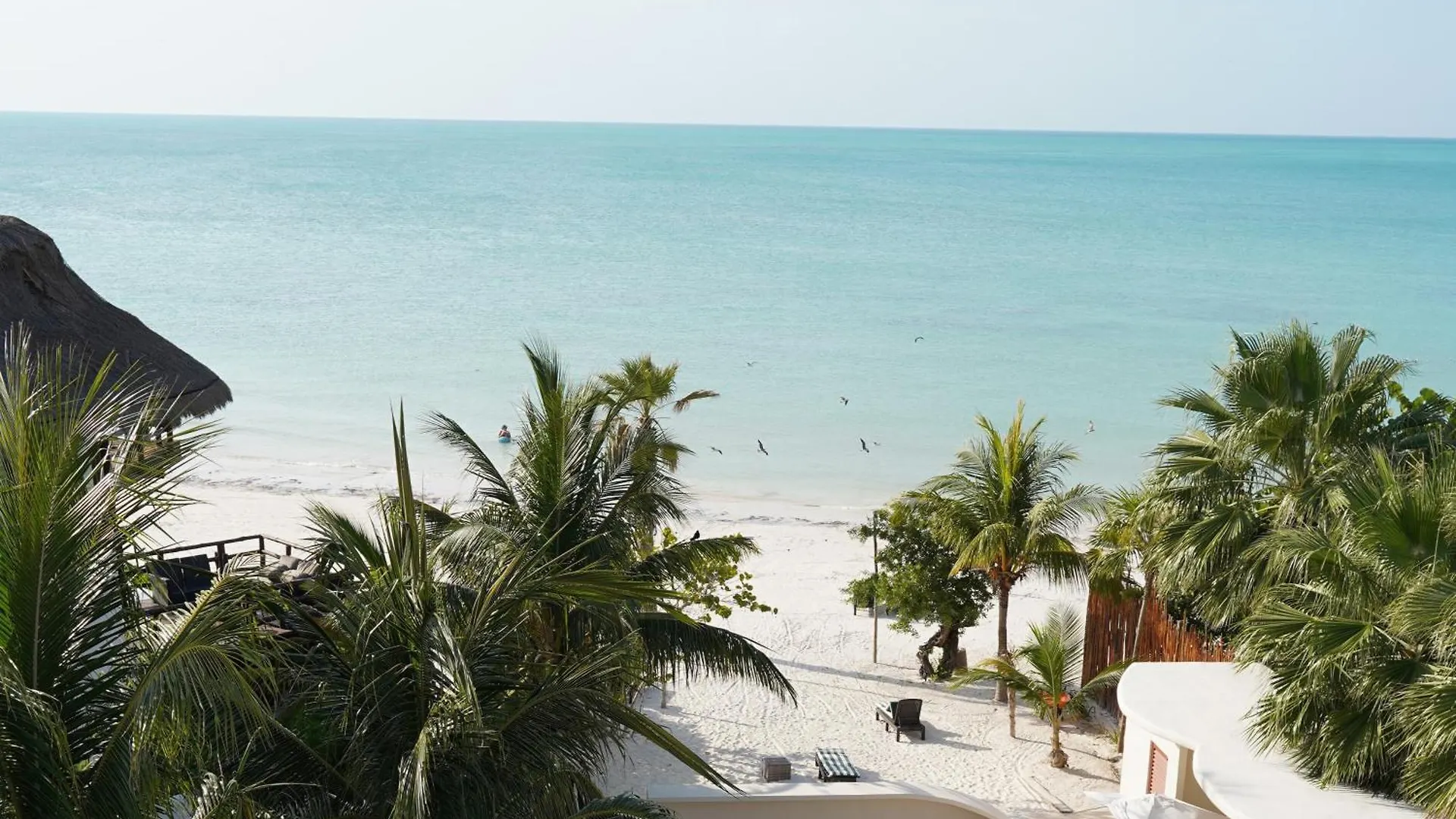 Beachfront Hotel Boutique Dk Isla Holbox