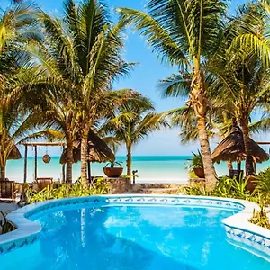 Hotel Dream Beachfront By Xperience