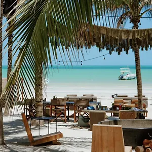 Casa Tortugas Petit & Hotel
