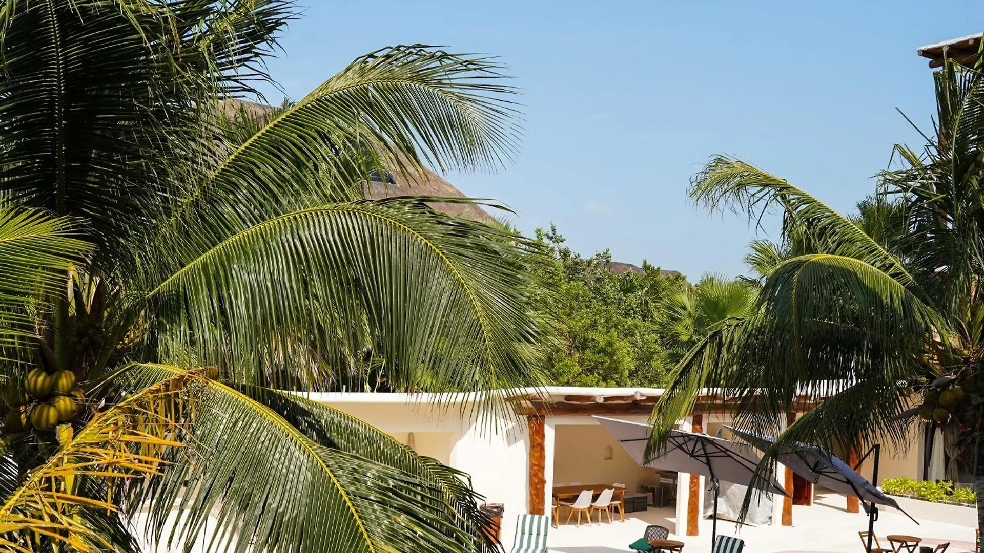 ****  Beachfront Hotel Boutique Dk 멕시코